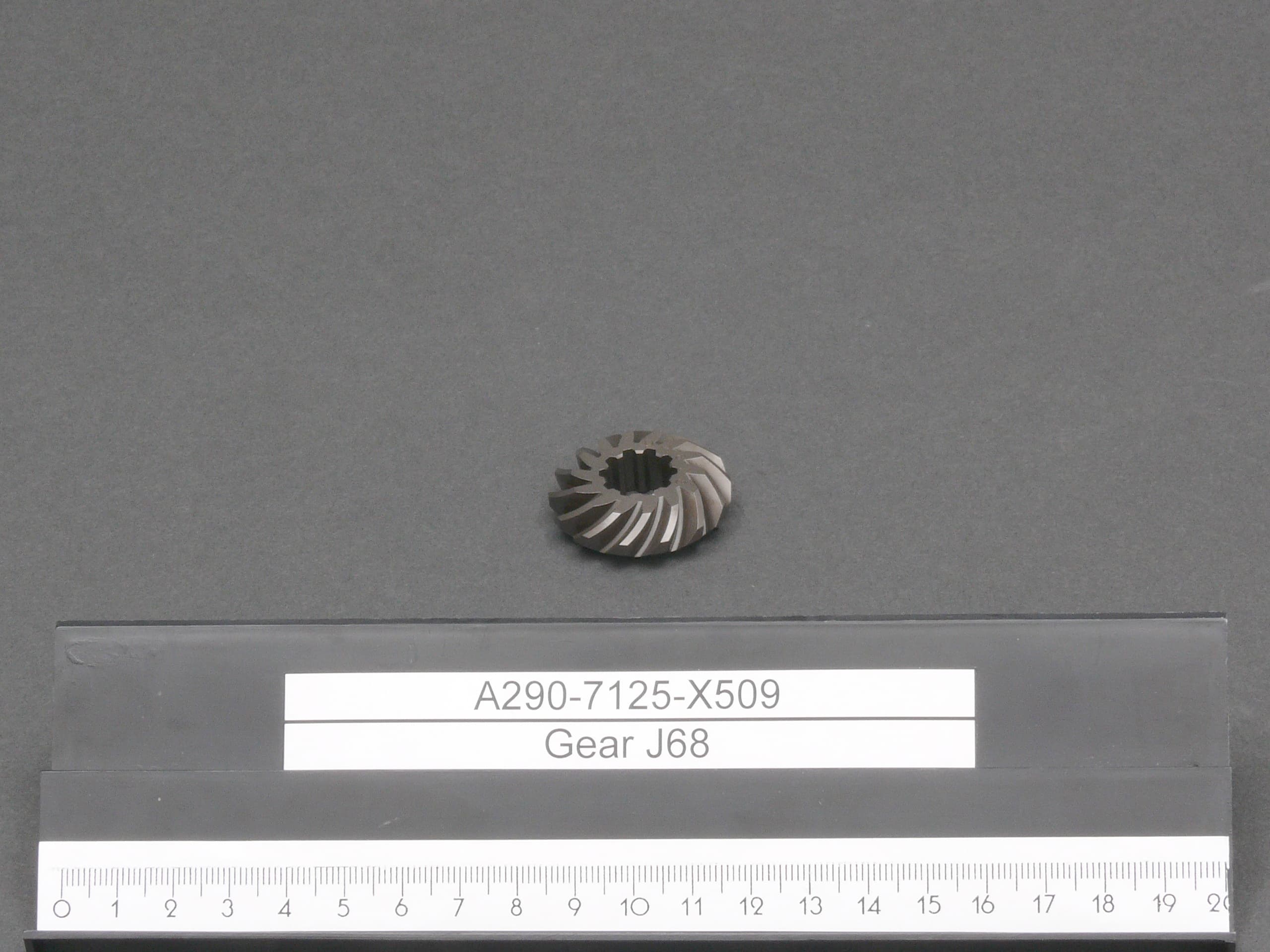A290-7125-X509.jpg