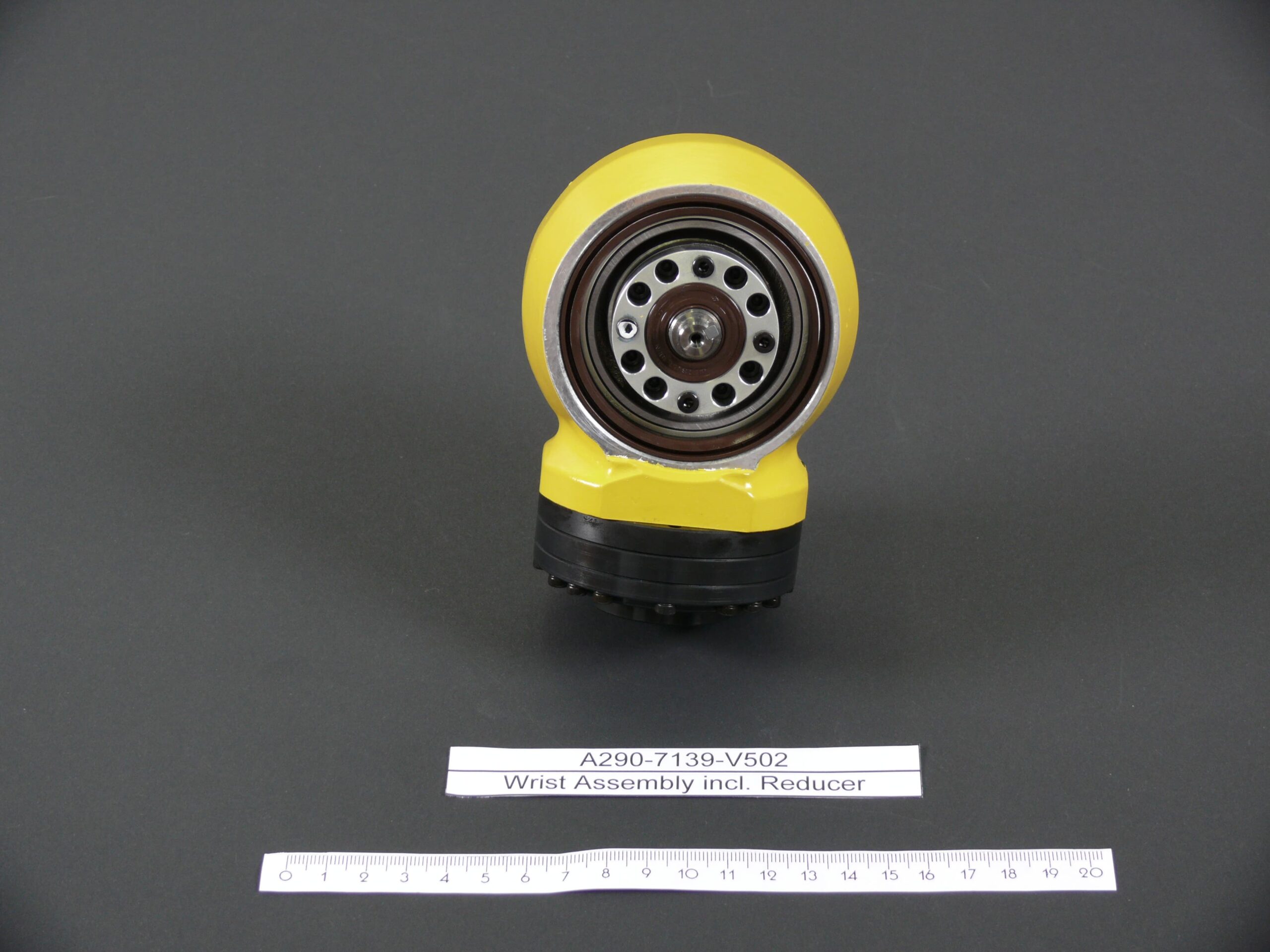 A290-7139-V502.jpg