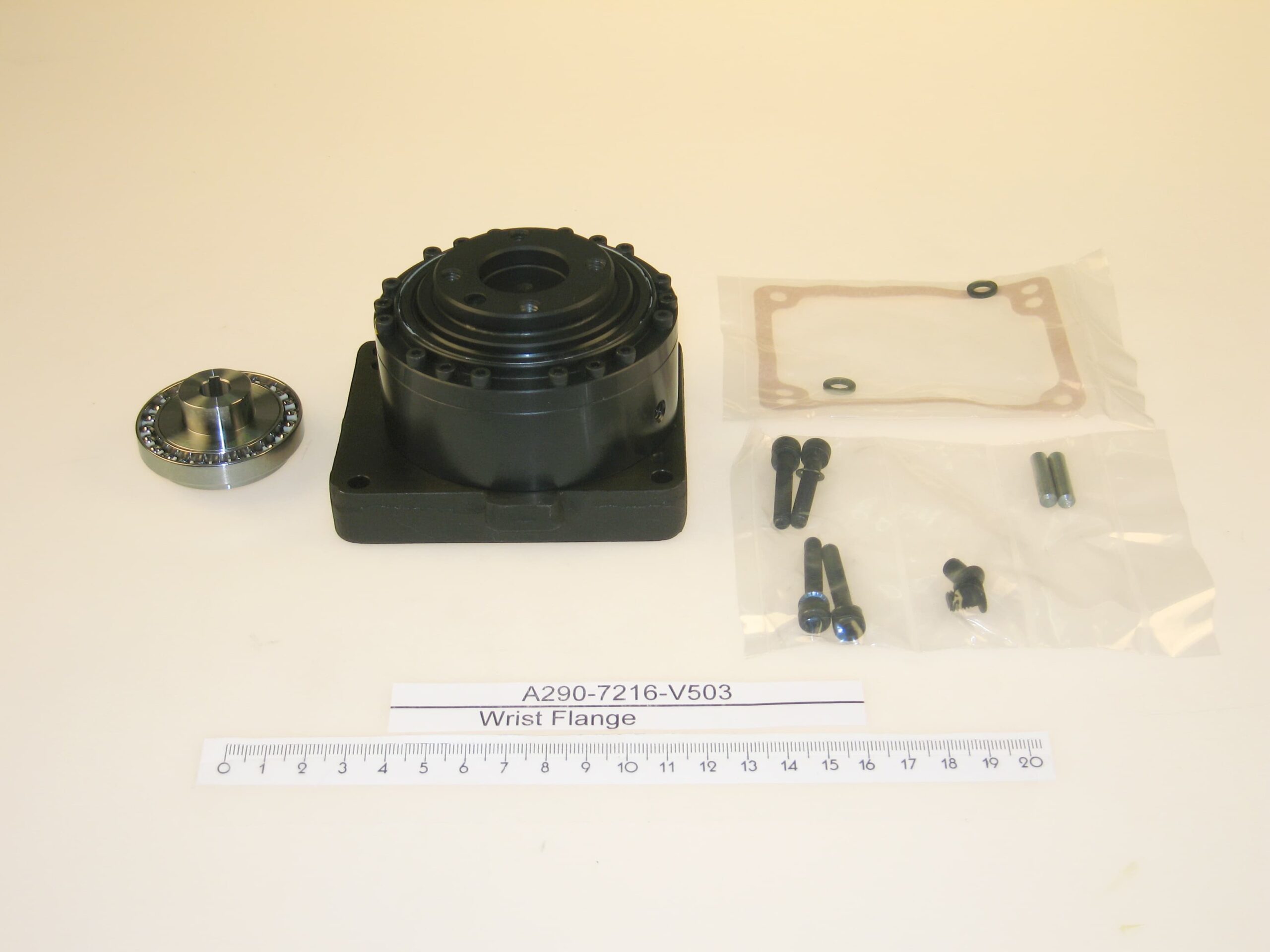 A290-7216-V503.jpg