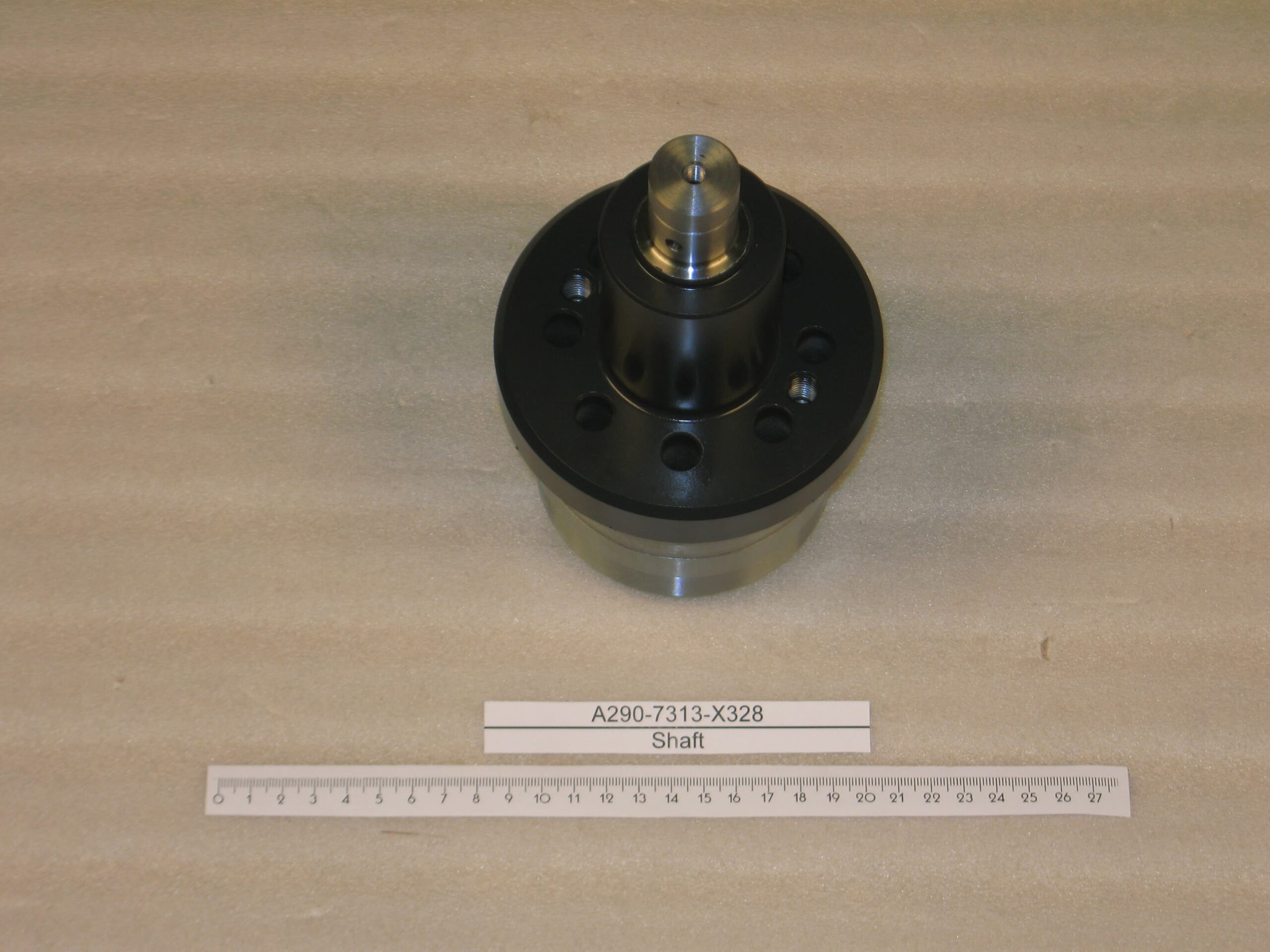 A290-7313-X328.jpg