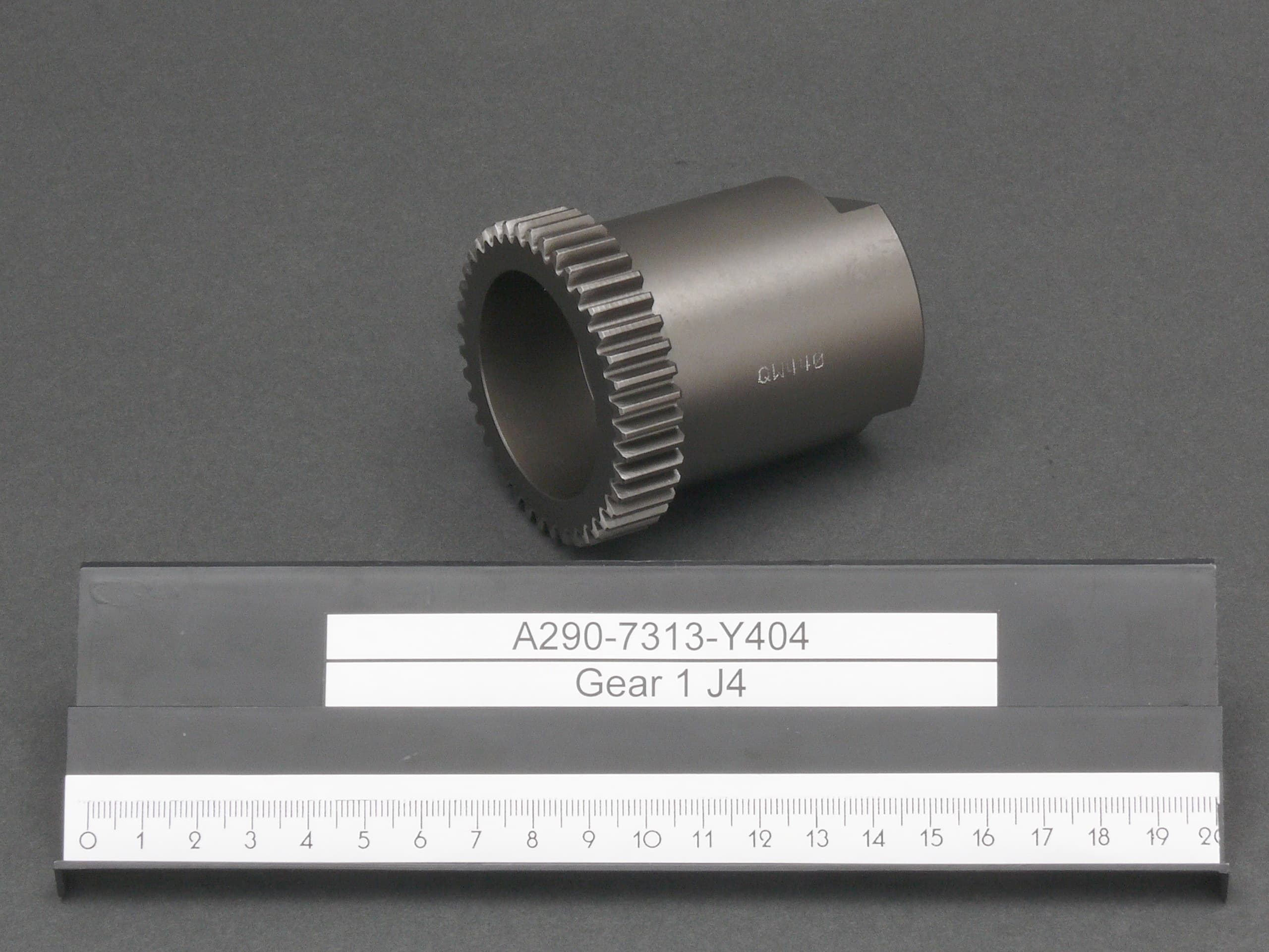 A290-7313-Y404.jpg