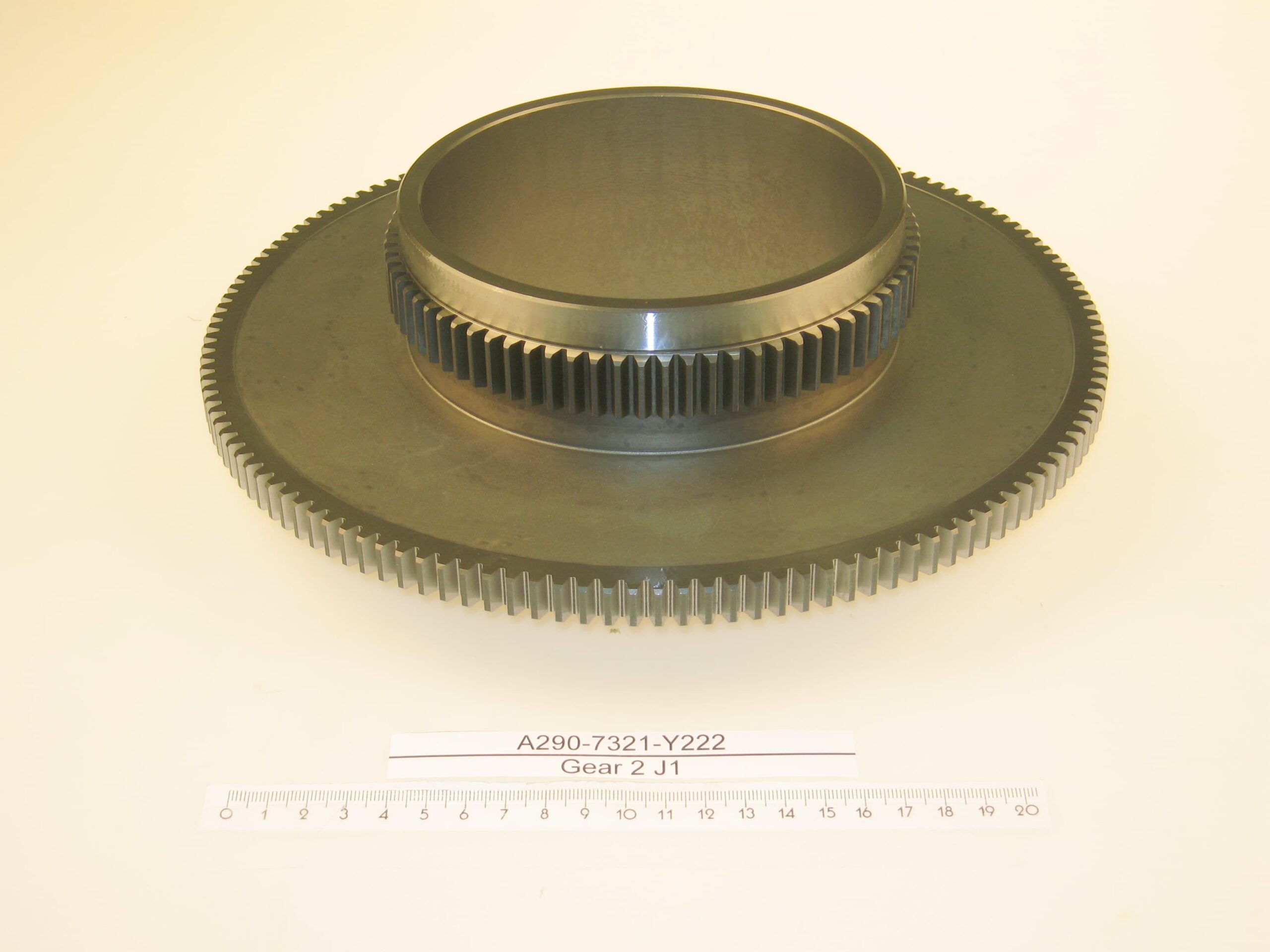 A290-7321-Y222.jpg