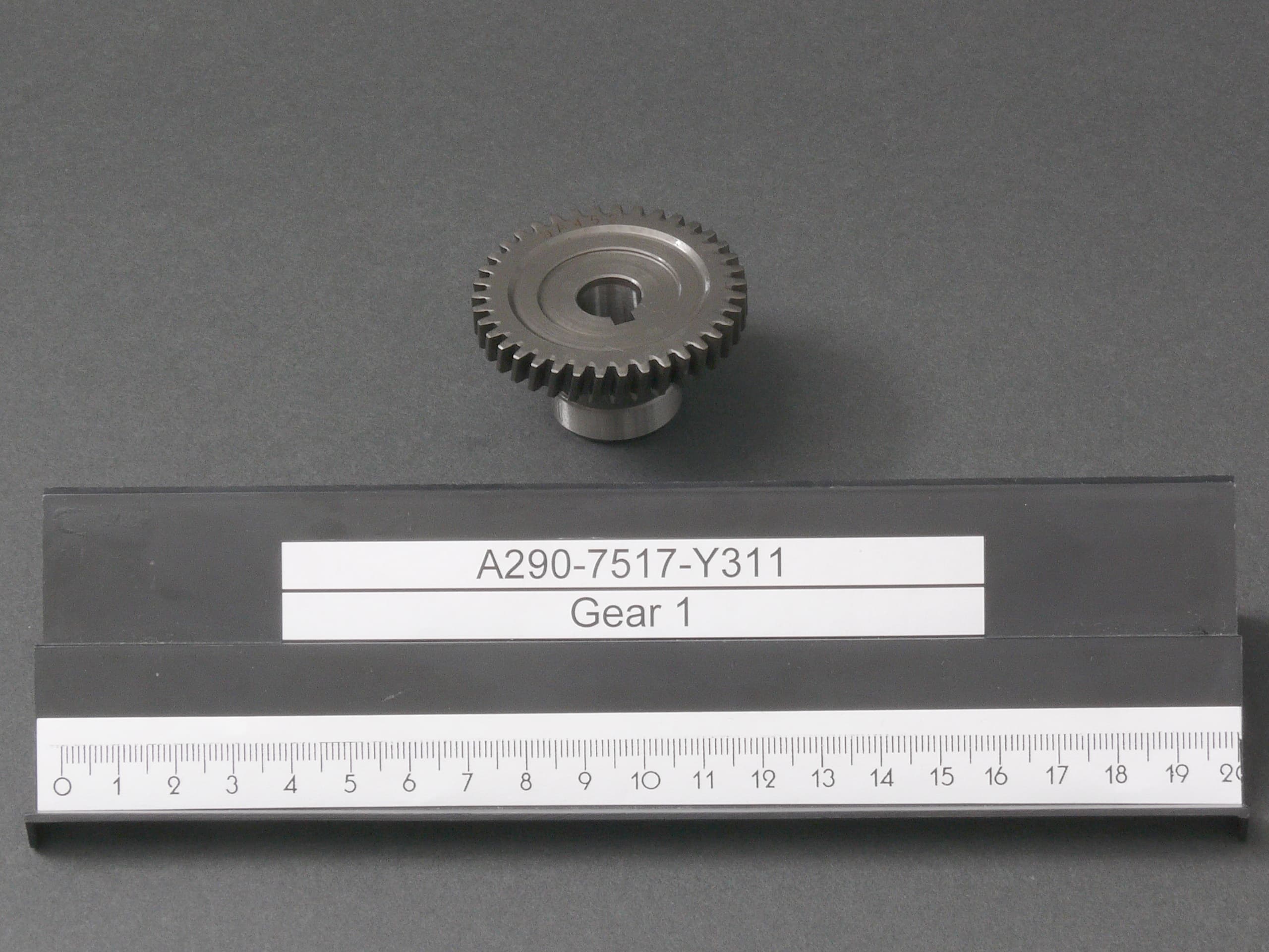 A290-7517-Y311.jpg