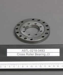 A97L-0218-0493